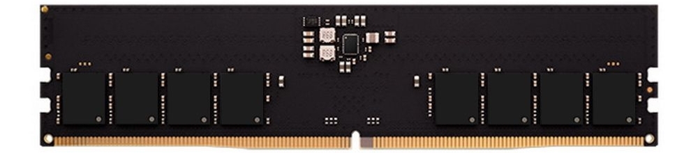 AMD Radeon R5 Entertainment DDR5 16 ГБ 5200 МГц — модуль с микросхемами памяти и золотыми контактами