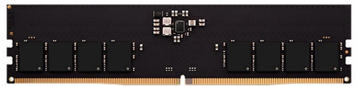 AMD Radeon R5 Entertainment DDR5 32GB 5200MHz DIMM модуль памяти для настольного ПК